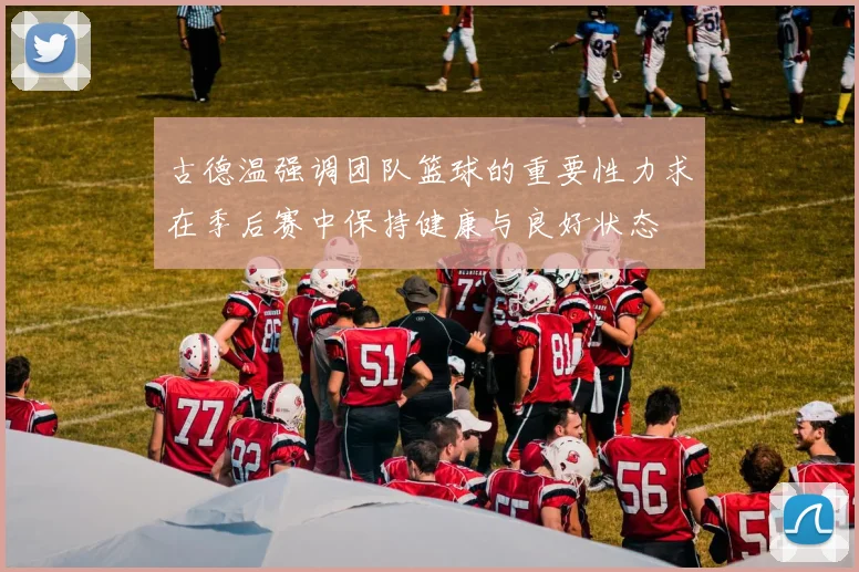古德温强调团队篮球的重要性力求在季后赛中保持健康与良好状态