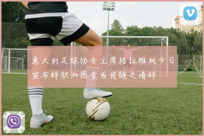 意大利足球协会主席格拉维纳今日宣布辞职加图索或将随之请辞