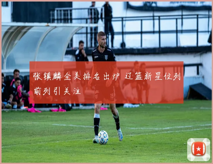 张镇麟全美排名出炉 辽篮新星位列前列引关注